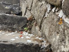 -慕田峪长城