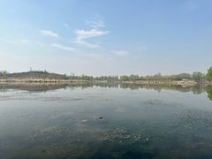 -马家湾湿地公园