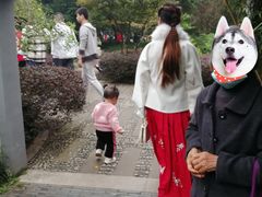 -峨眉山报国寺