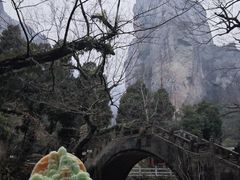 -雁荡山风景名胜区