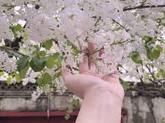 -颐和园