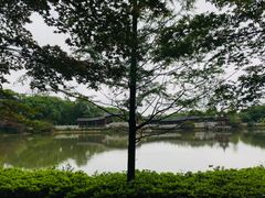 -岳麓山风景名胜区