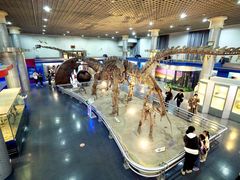 -国家自然博物馆