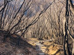 -北京密云天门山风景区