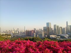 -荔枝公园-小平画像广场