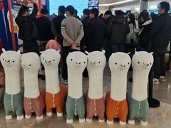 -红星美凯龙(上海沪南店)