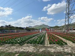 -盈香心动乐园