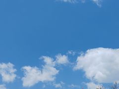 -大围山国家森林公园
