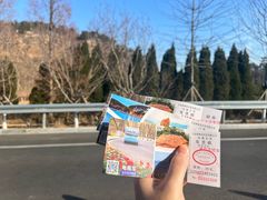 -棒棰岛宾馆景区