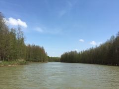 -上海海湾国家森林公园