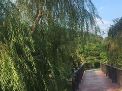 -厦门悦华酒店
