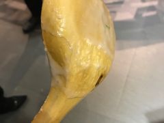 -渔米粥(罗湖店)