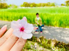 -长田漾湿地公园