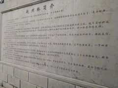 -赵州桥景区