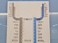 -大龙山(地铁站)