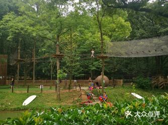 儿子一直想办一个盛大的生日派对，他爸爸就提前预定了