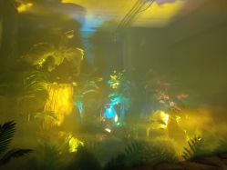 -恐龙探索乐园(磁器口店)