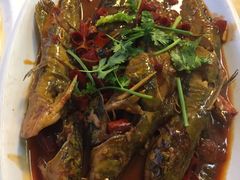 红烧黄骨鱼-微山湖渔屯(鼓楼店)