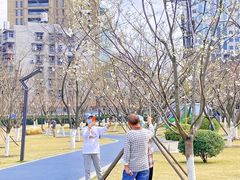 -西北湖绿化广场