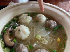 -广州长隆飞鸟乐园