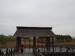 -溱湖国家湿地公园