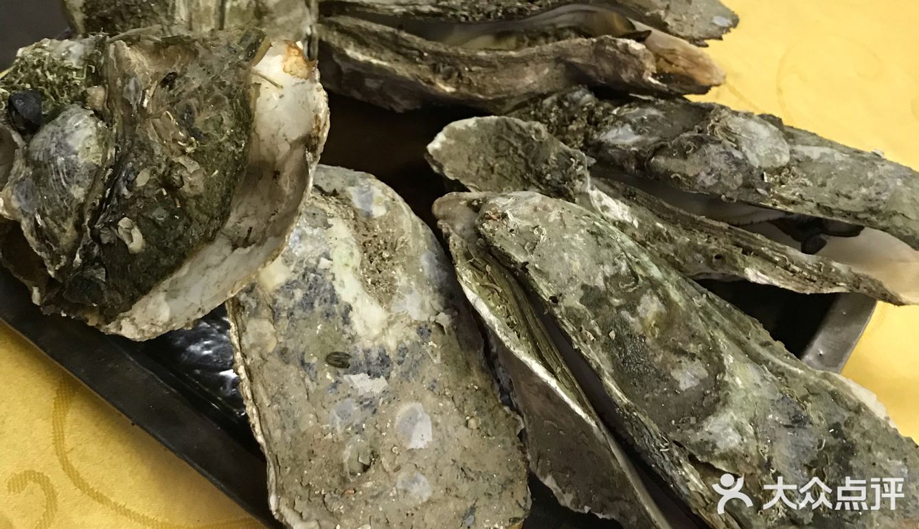 茂名口音姐姐说今天运气好