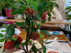 -粉巷13號陕菜馆