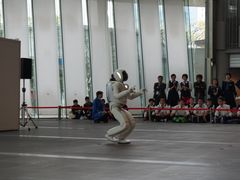 -日本科学未来馆