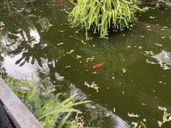-大妙火锅·非物质文化遗产(东湖公园店)