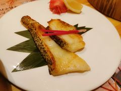 炭烤法国银鳕鱼-鲔屋寿喜烧
