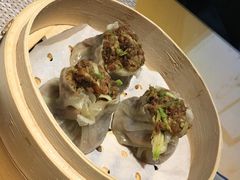 -素虎小呆鸟(西二旗店)