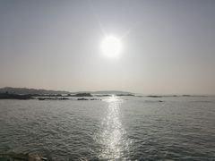 -八大关景区