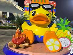 -上海玛雅海滩水公园