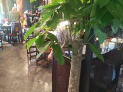 -功德林(南京西路店)