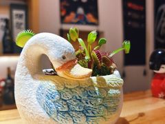 -浦·传统日式料理(3 5 1 1 店)