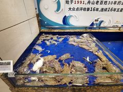 -高佳庄·舟山海鲜(海景旗舰店)