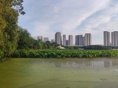-月湖风景区