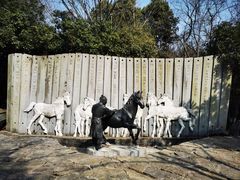 -白马涧龙池景区