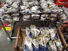 -蚝专家(北滘店)