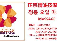 -ventus spa 沙巴亚庇正宗精油按摩会所