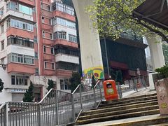 -香港大学