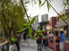 -艾溪湖湿地公园