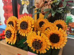 -乐高授权专卖店(济南万象城店)