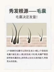 -木北造型