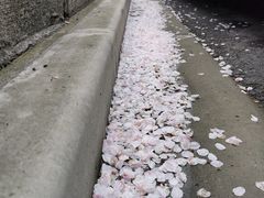 -永乐路-路侧停车场