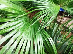 -北海金海湾红树林生态旅游区