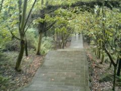 -窦圌山风景区