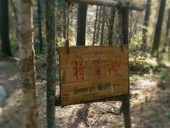 -五营红松林海景区