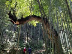-会稽山峡洞漂流-上青古道