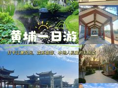-长洲岛